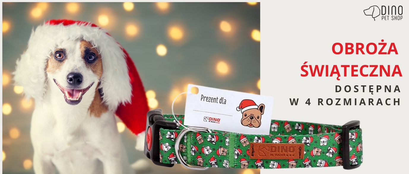 OBROŻA ŚWIĄTECZNA (1).jpg